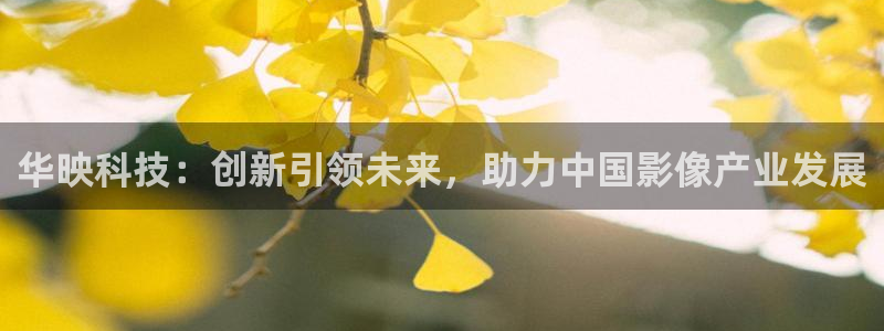 华映科技：创新引领未来，助力中国影像产业发展