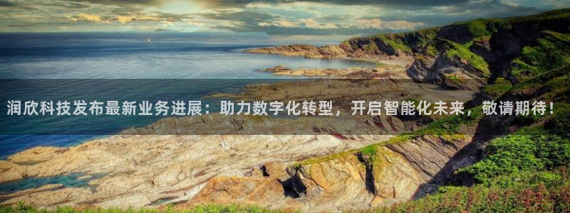 润欣科技发布最新业务进展：助力数字化转型，开启智能化未来，敬请期待！