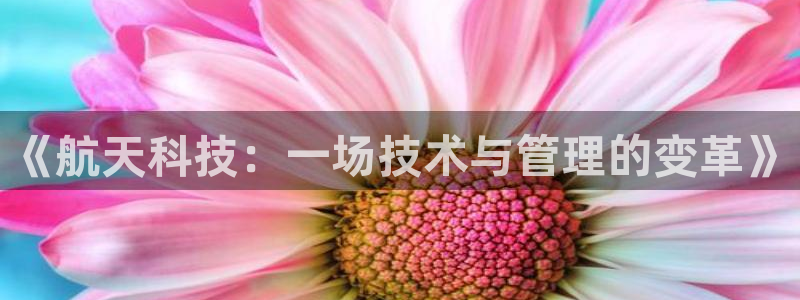 《航天科技：一场技术与管理的变革》